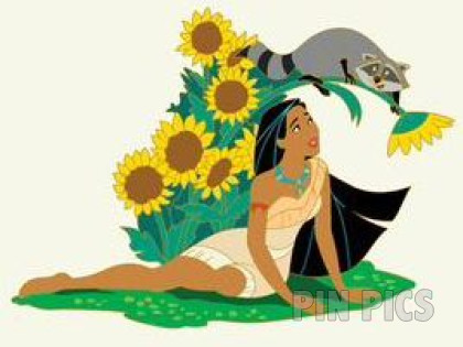 WDI - Pocahontas and Meeko - Sun Flowers - Spring