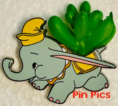 Dumbo - Succulent - Plastic plant