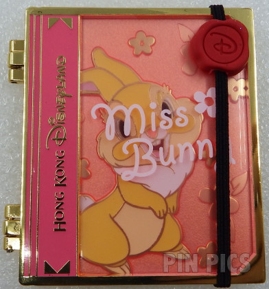 HKDL - Miss Bunny - Hinged Book - Stained Glass Jumbo
