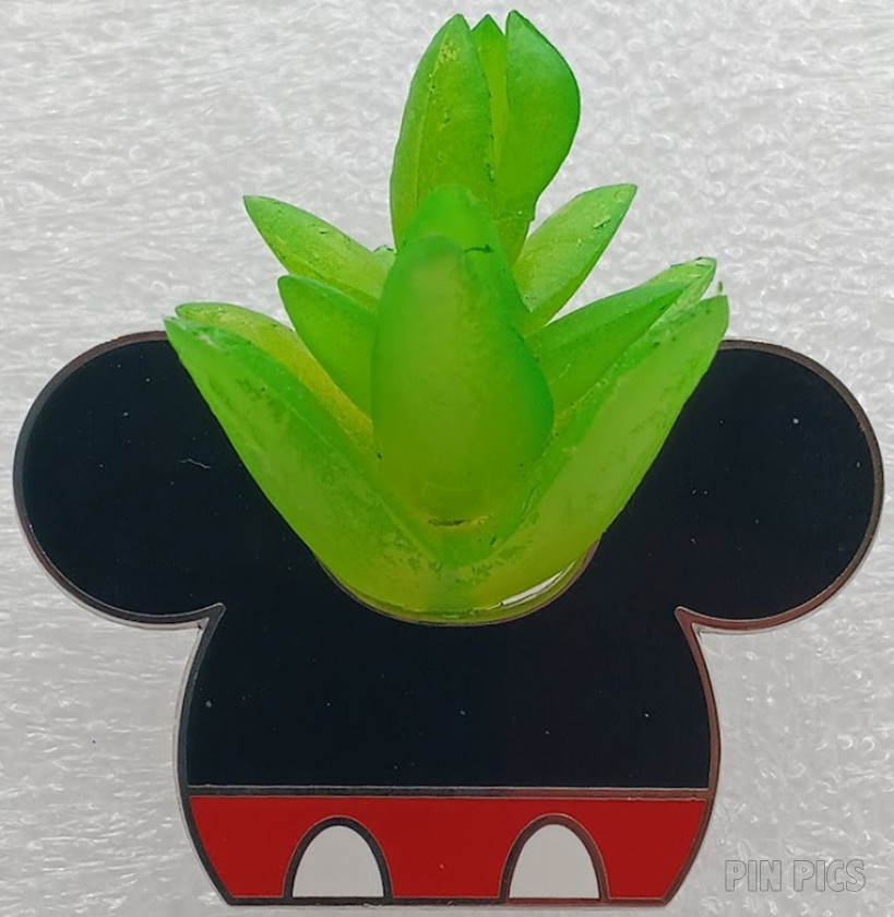 Mickey - Succulent - Plastic Plant