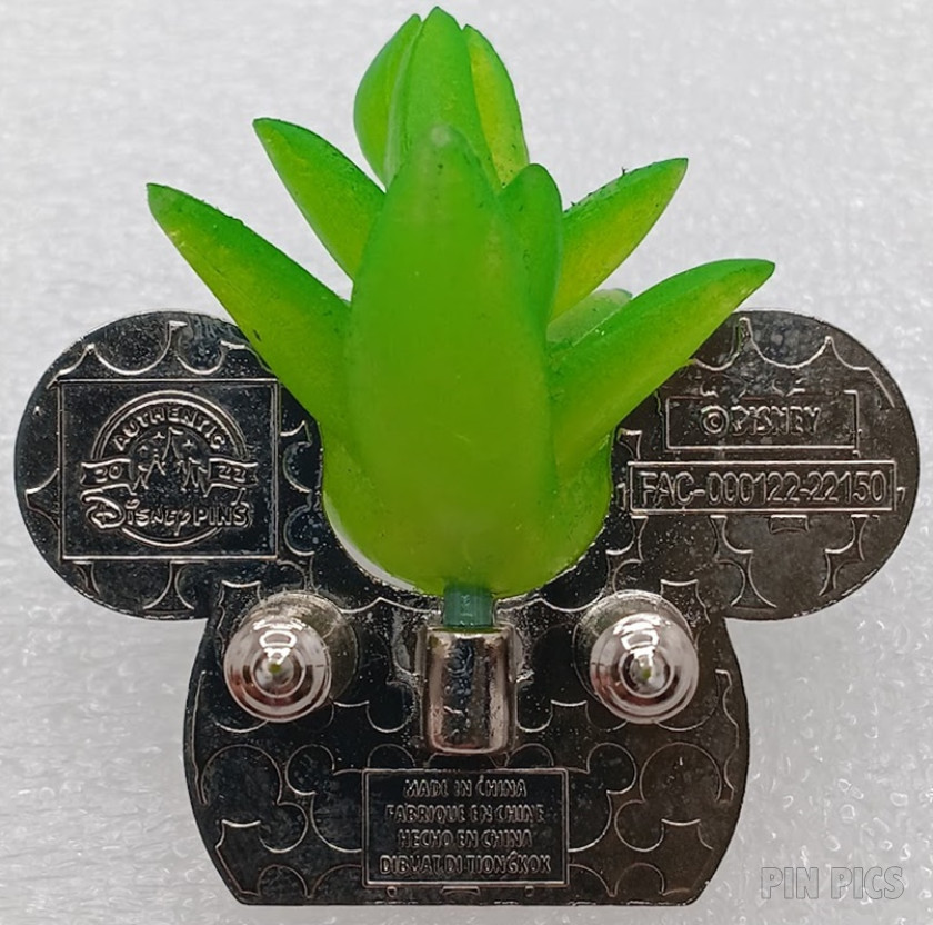 164465 - Mickey - Succulent - Plastic Plant