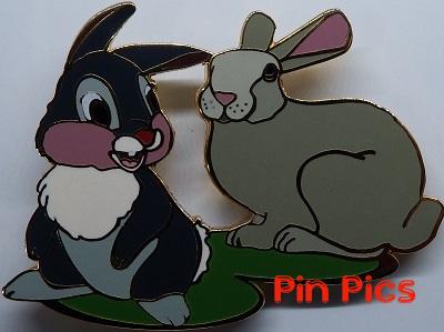 DS - Disney Shopping - Seeing Double Series Thumper Pin