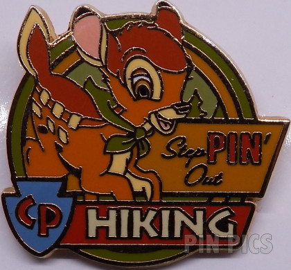 DLR - Camp Pin-e-ha-ha - Merit Badge - Hiking (Bambi)