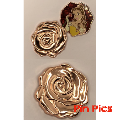 Belle - Copper Rose - Beauty and the Beast - Beautiful Florals - Hinged
