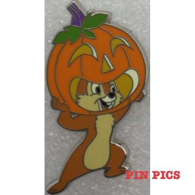 Chip - With Pumpkin - Halloween