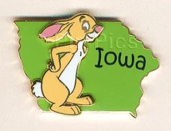 State Character Pins (Iowa/Rabbit)