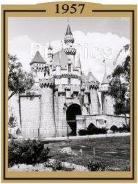 Ape Pen Publishing - Sleeping Beauty's Castle