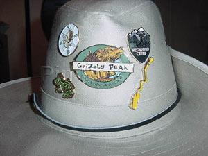 DCA - Golden State Area Hat with Pins