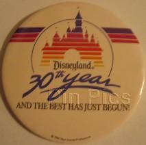 Disneyland 30th Year