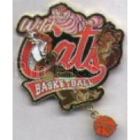 WDW - Shere Khan, Cheshire Cat, Scar, Lucifer - AP - Wild Cats Basketball - The Big Pin Game