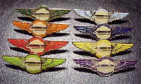 Monorail Co-Pilot Wings (Gold)