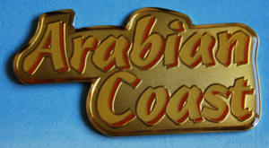 TDR - Title Logo - Aladdin - Tokyo Disney Sea - Arabian Coast - From a Pin Frame Set - TDS