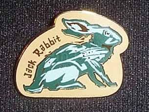 DCA Animals - Jack Rabbit