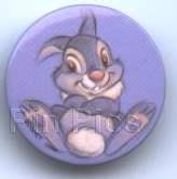 DS- Studio Collection Buttons ( Thumper )
