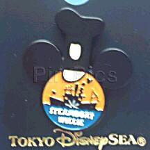 TDR - Steamboat Willie - Mickey Mouse - TDS