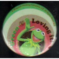 Button - DS Europe - Kermit - 8 Button Set - Kermit on a rainbow only