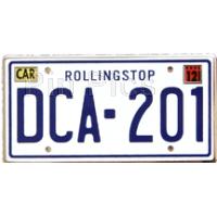 WDI - DCA 201 License Plate - Cars Land - Mystery